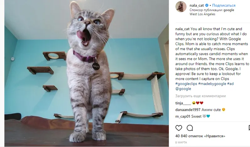 Sponsored Instagram post by @nala_cat promoting Google Clips, with 40,840 likes